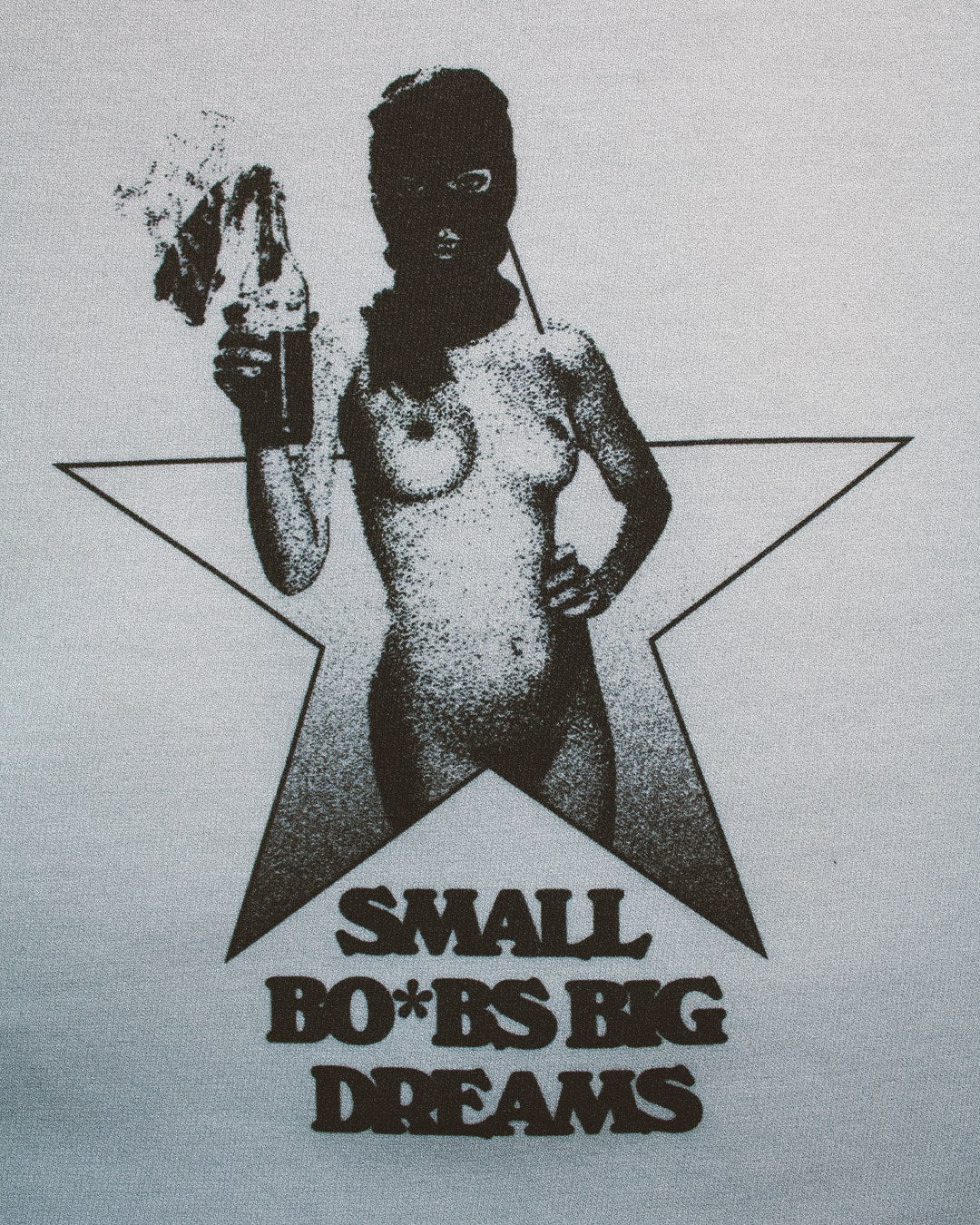 Small Bo*bs Big Dreams Tee
